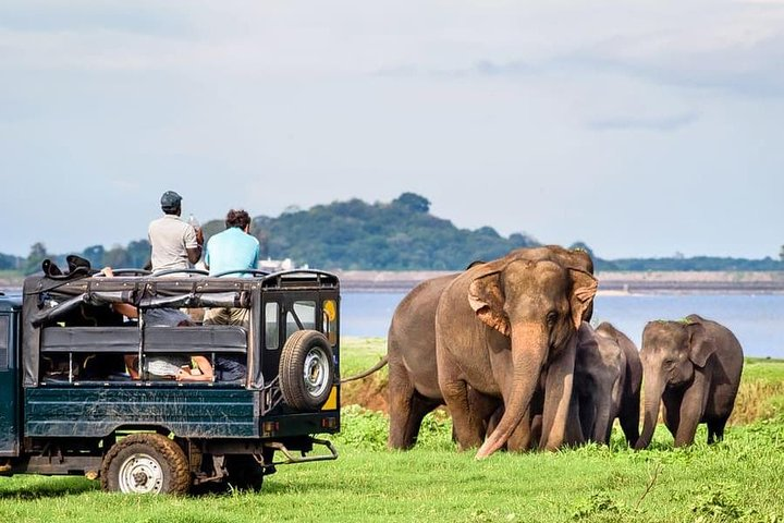 Udawalawe National Park Safari with Naturalist - Photo 1 of 8